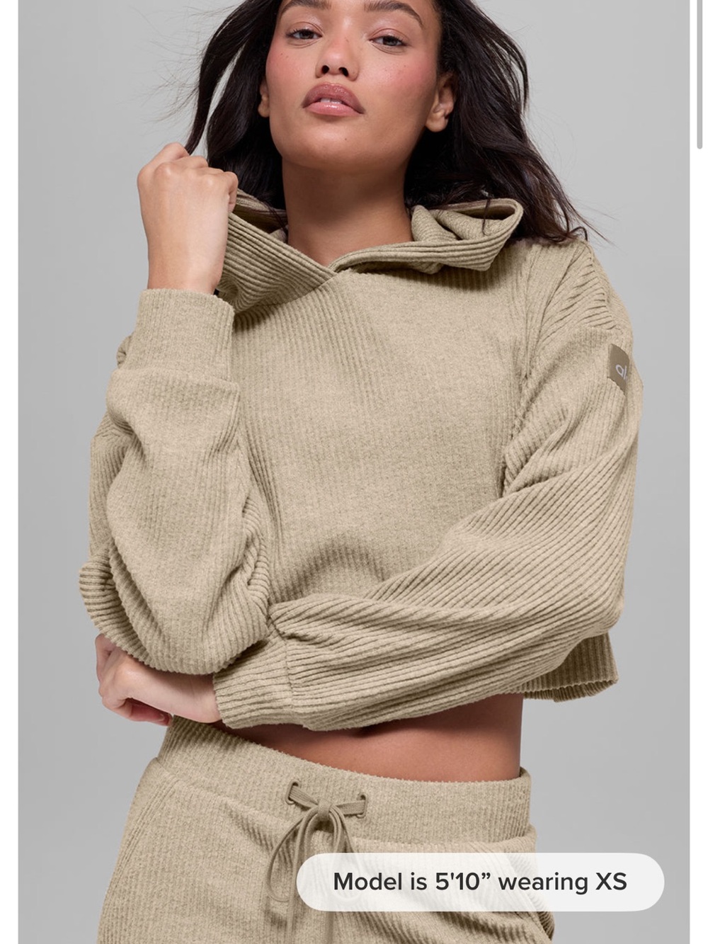 ALO Yoga Muse Ribbed Hoodie in Gravel Heather